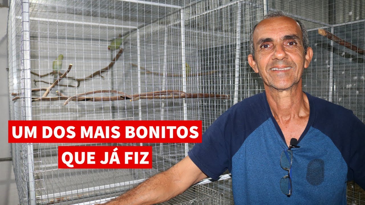 MEU NOVO VIVEIRO DE RING NECK