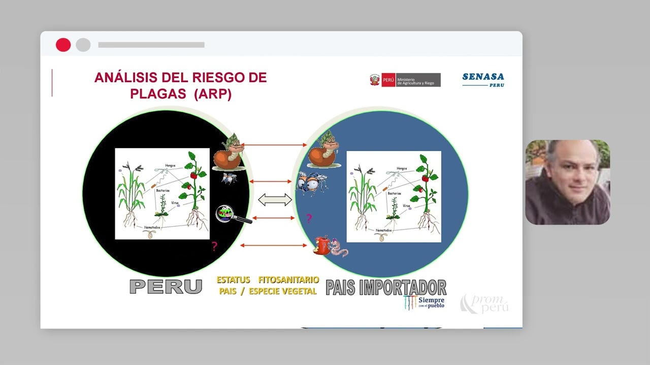 Requisitos fitosanitarios para la agroexportaci&oacute;n: CARRASCO, Harold (20/07/22)