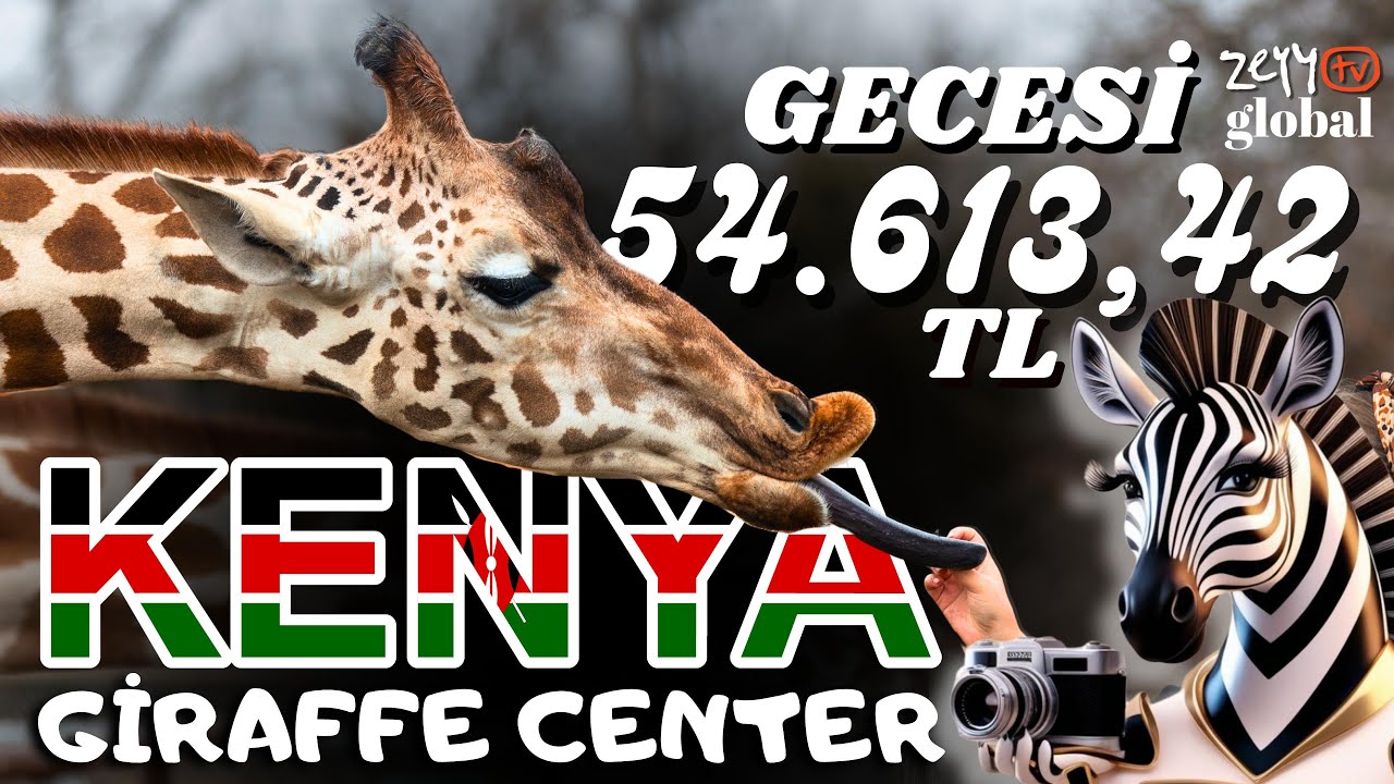 Nairobi’de Zürafa Parkı / Giraffe Center in Nairobi / Ben Zebra #travel