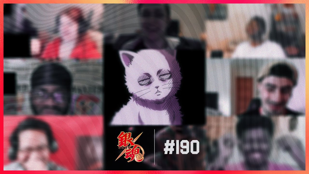Gintama Episode 190 | Kabukicho Stray Cat Arc | Reaction Mashup
