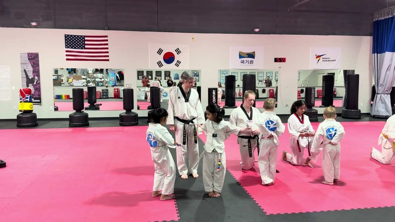 Taekwondo moving to next level