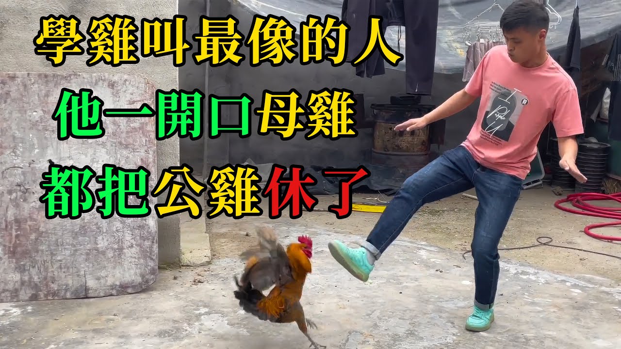 學雞叫最像的人，他一開口母雞都把公雞休了 #動物的迷惑行為  #養動物的樂趣  #動物的心思都寫在臉上