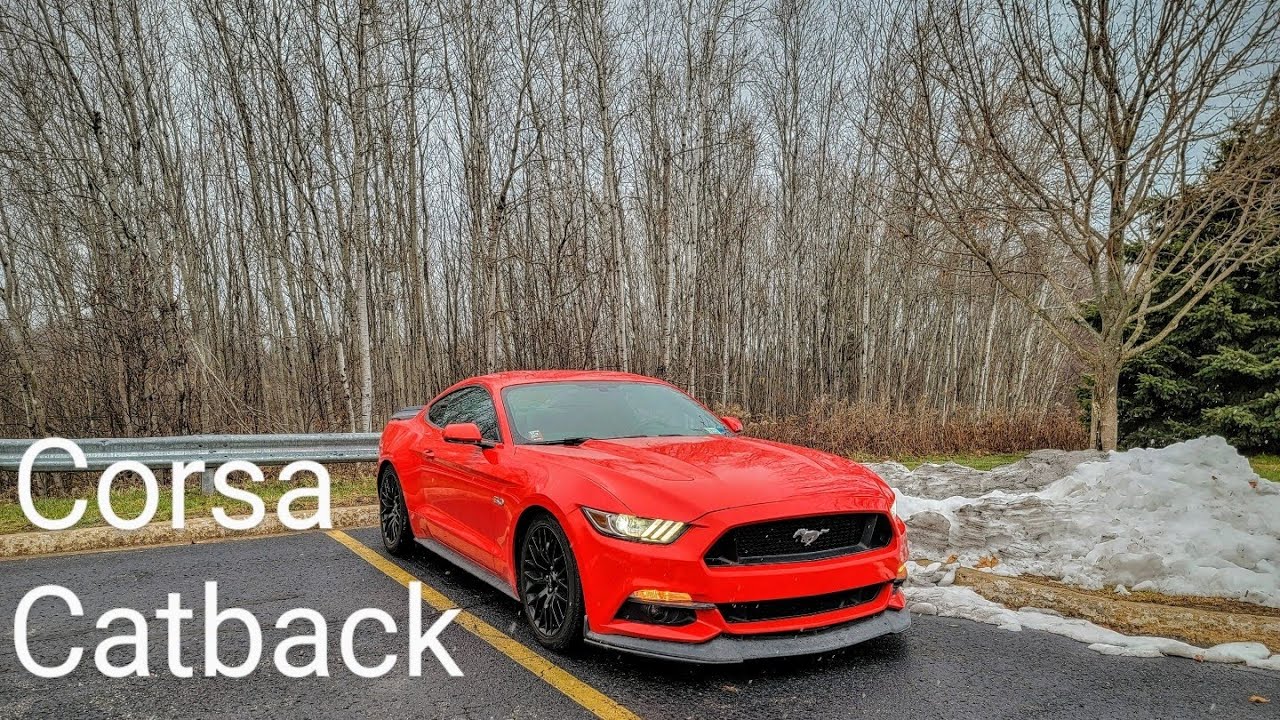 Mustang GT Corsa Extreme Catback, Cold Start, Revs, Flybys (LOUD)