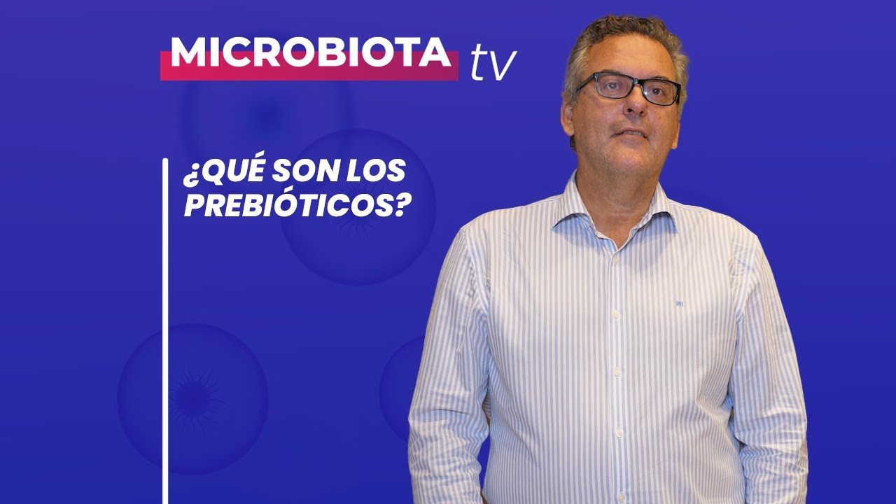 &iquest;Qu&eacute; son los prebi&oacute;ticos?
