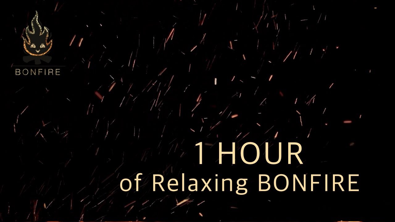 1 HOUR of Relaxing Crackling Bonfire Sounds - Best for sleep (NO MUSIC) 4K video
