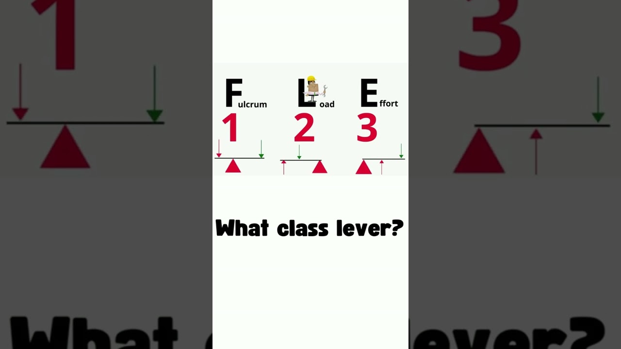 Type of Lever - How to identify them