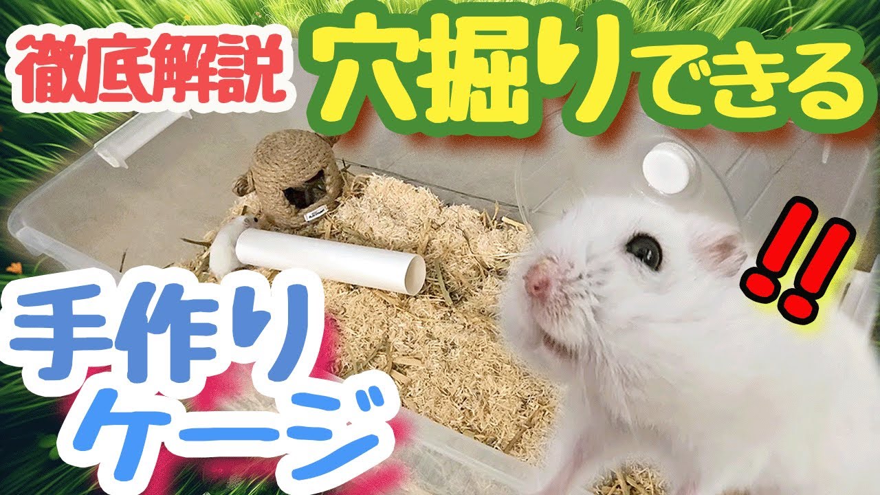 安価に海外の飼主が使っている様な潜れる特大ケージを作る方法