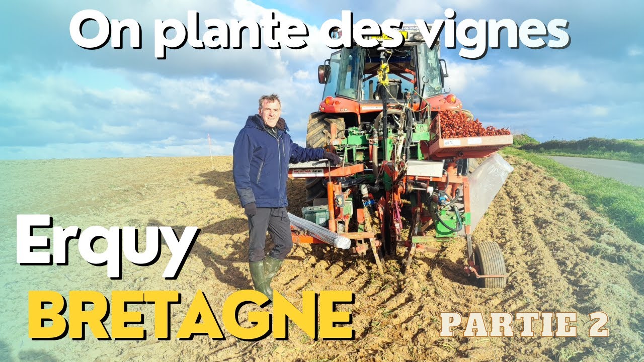 Le Projet Vignoble &agrave; Erquy : Une Aventure Viticole Passionnante
