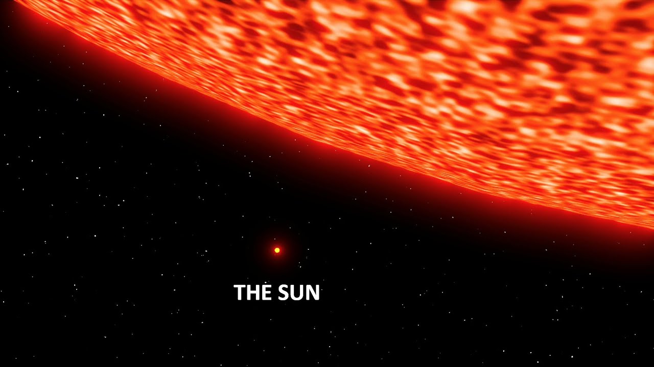 Sun vs Biggest Star Size Comparison | 3d Animation Comparison | Stars Real Scale Comparison