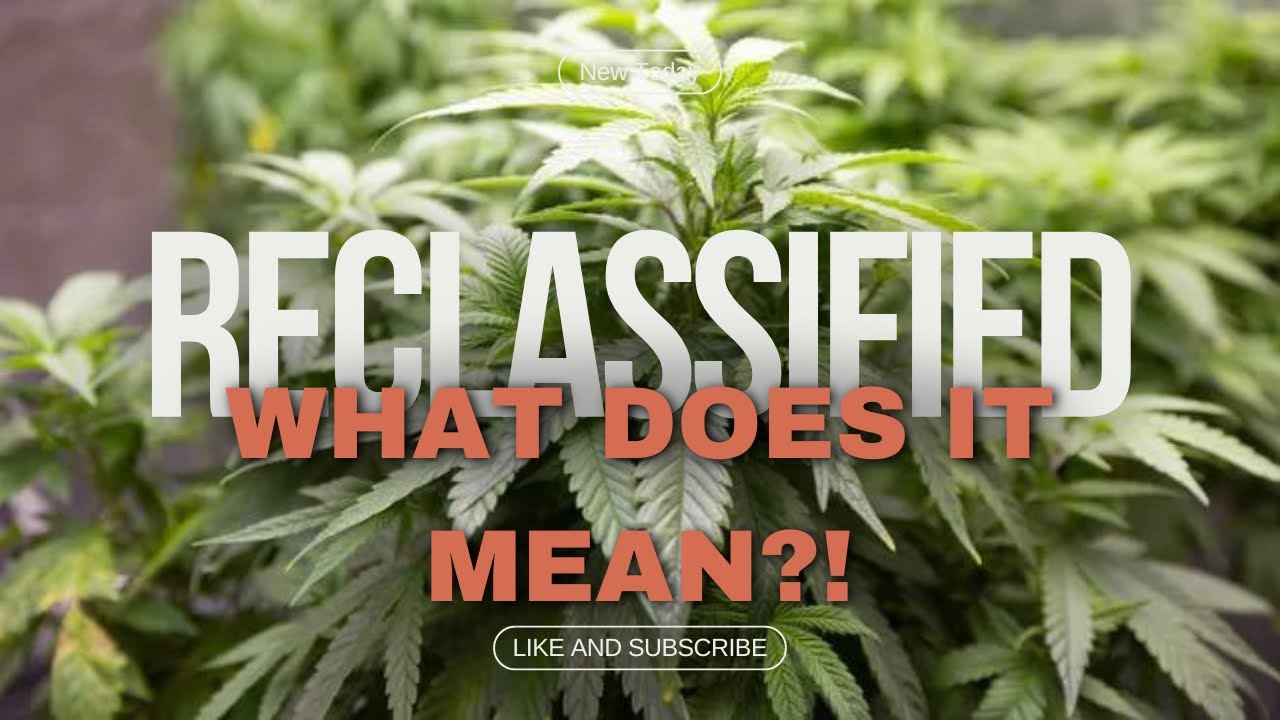 Marijuana Reclassified: What Schedule 3 Means for the Future