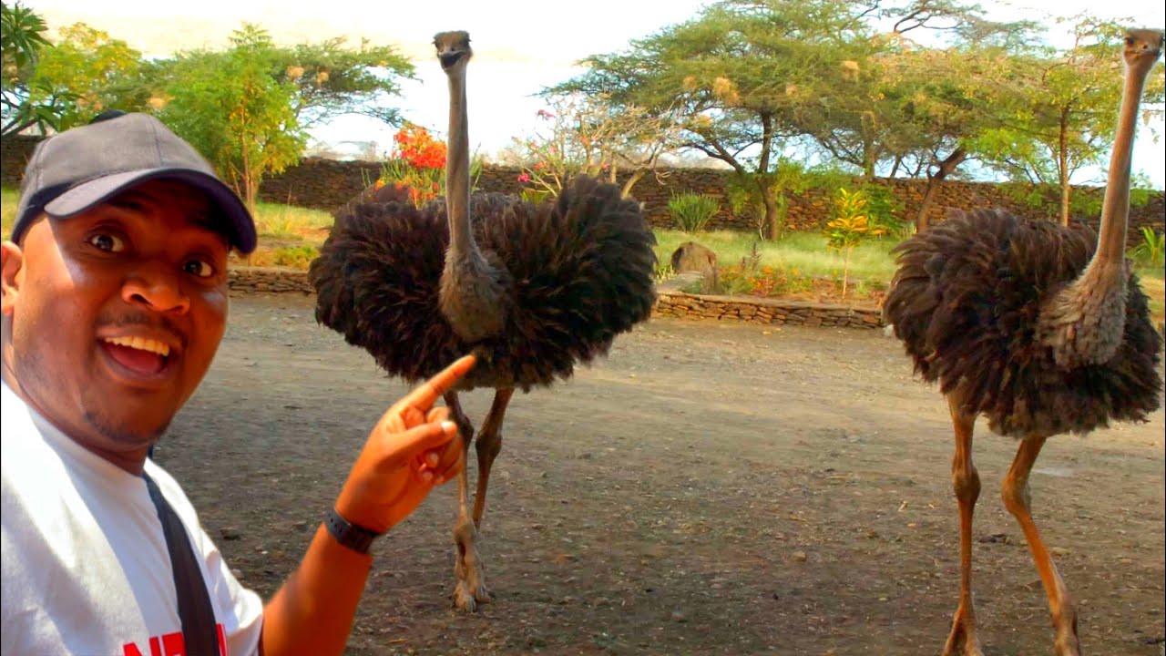How He Is Doing His Unique Projects Deep In Rural Zimbabwe