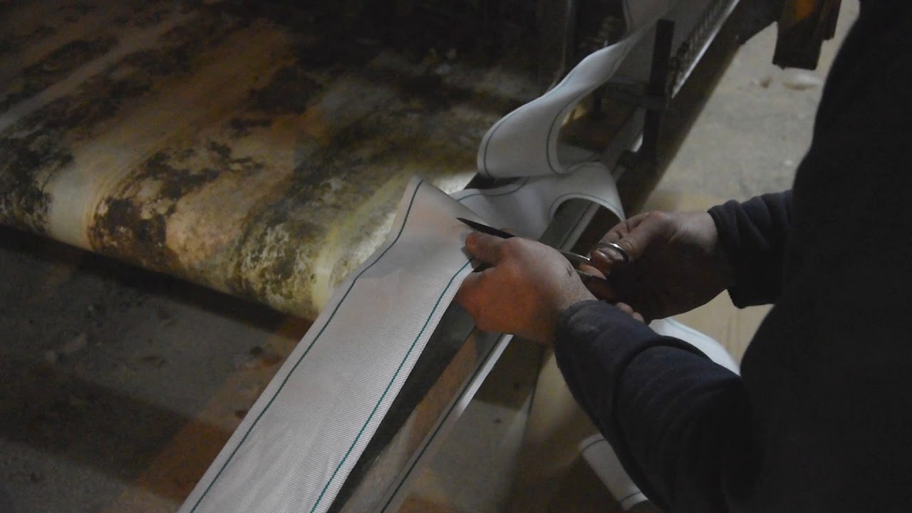 Cinta Transportadora de Huevos