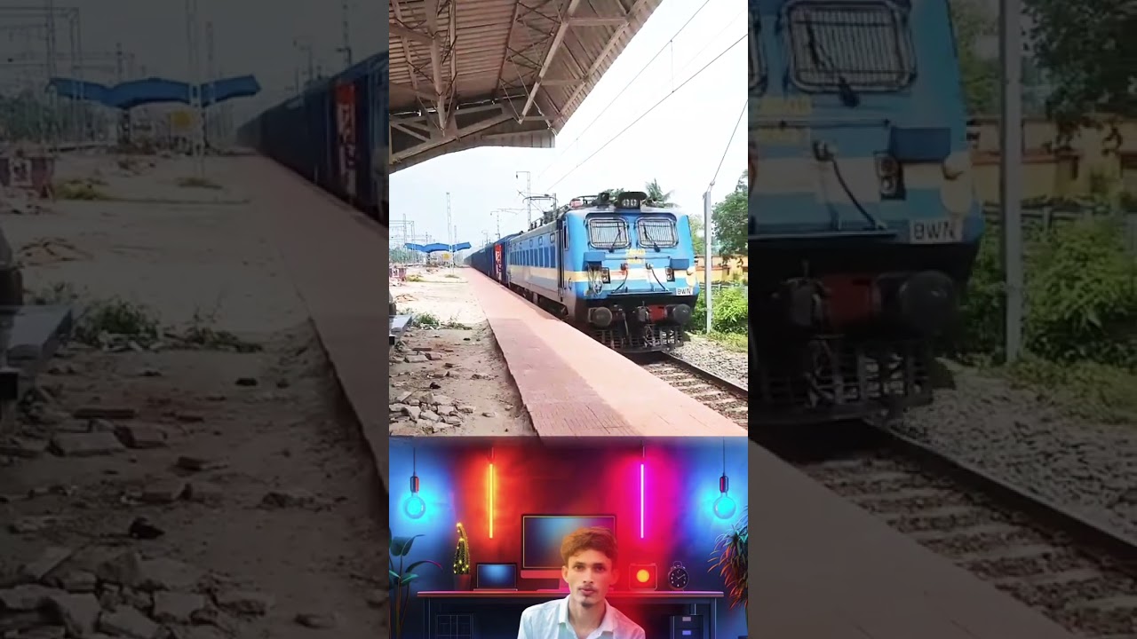 Beautiful Birds sound and Train horn sound🔊😱 