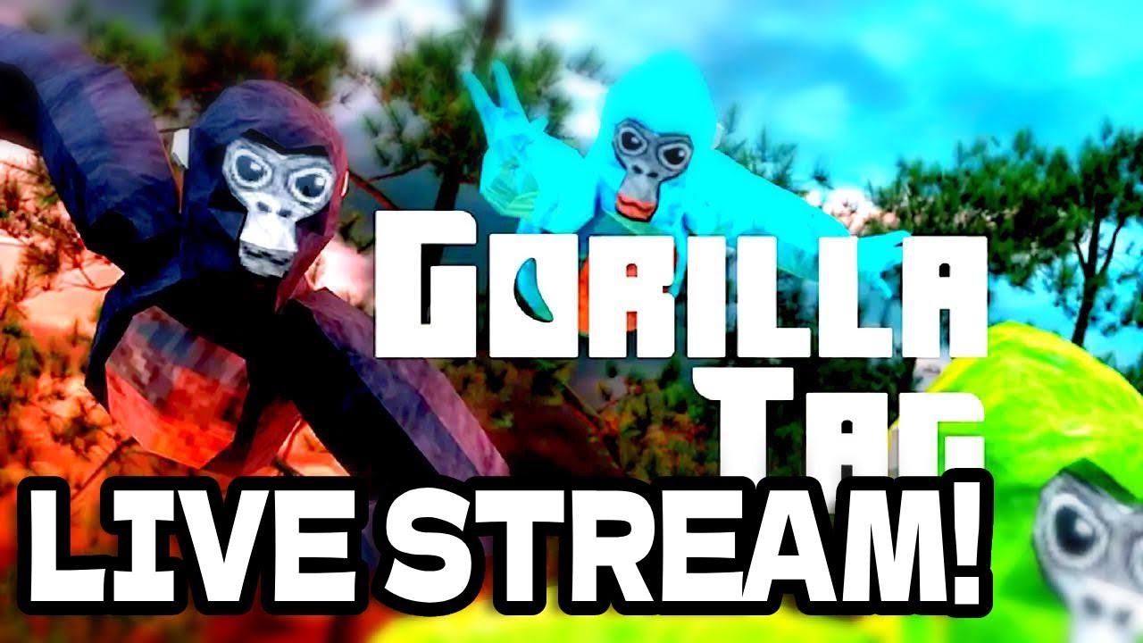 Minigames With Viewers! #gorillatag #gtag