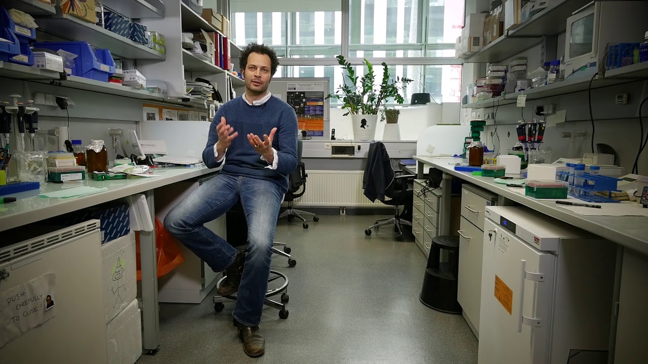 Julius Brennecke | IMBA - Institute of Molecular Biotechnology