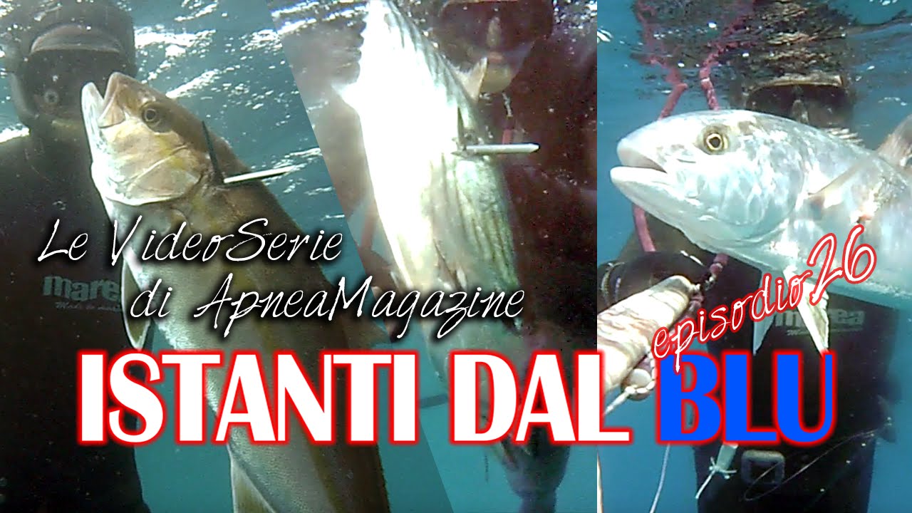 Pescasub Ricciola e Palamita: Pelagos - Apnea Magazine