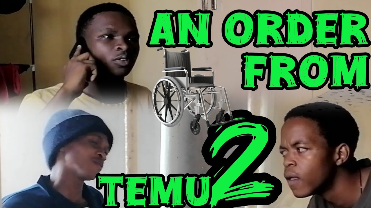An order from TEMU 2