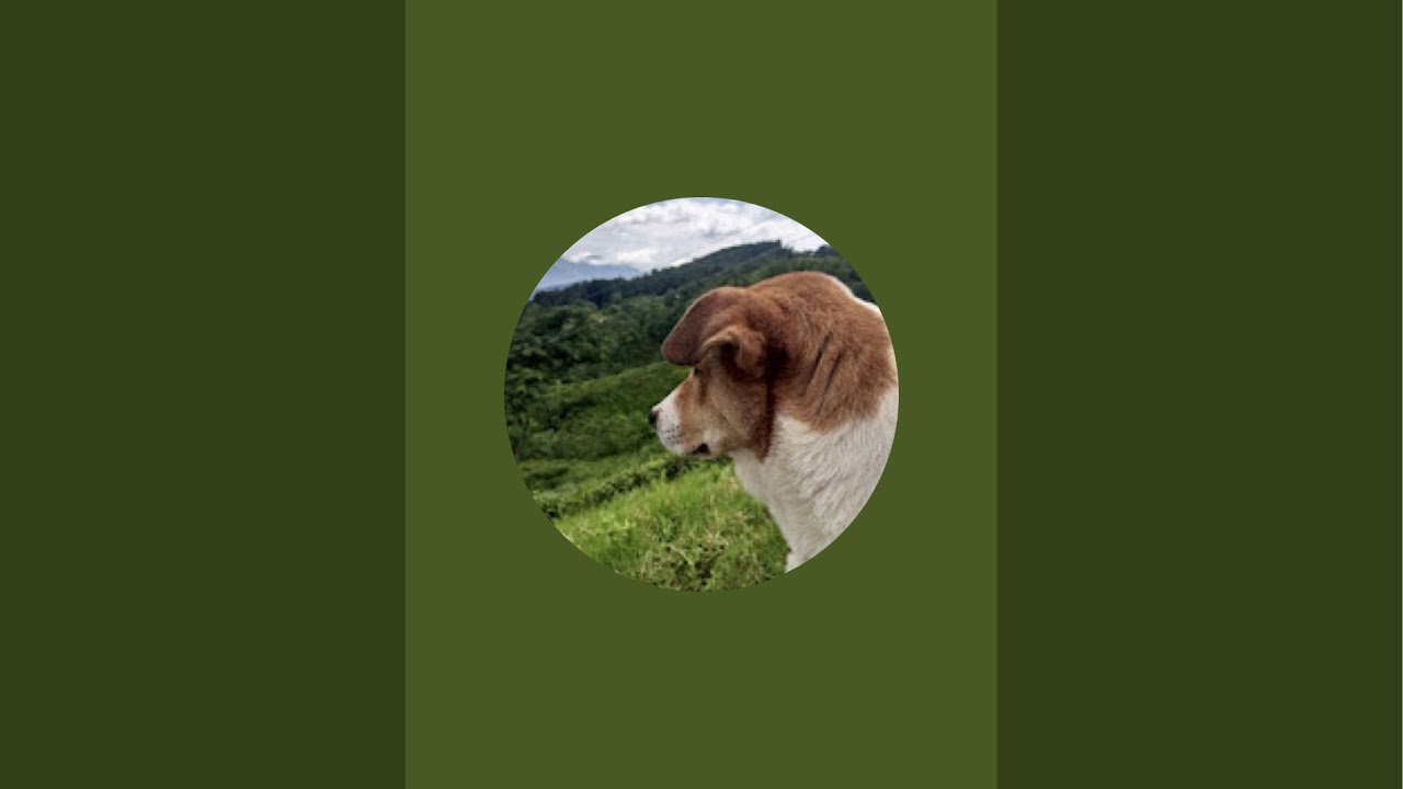 NEPAL PETS And Veterinary Sewa