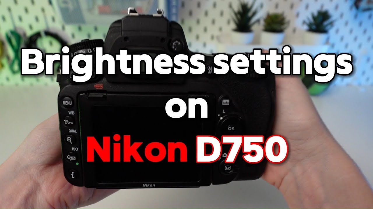 Setting Brightness Levels on Nikon D750: A Step-by-Step Tutorial