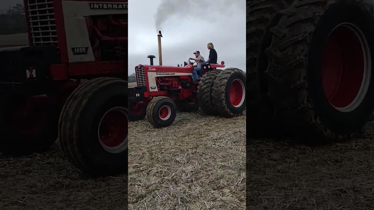 International 1456 plowing #farmall51 #farmequipment #tractor #farming