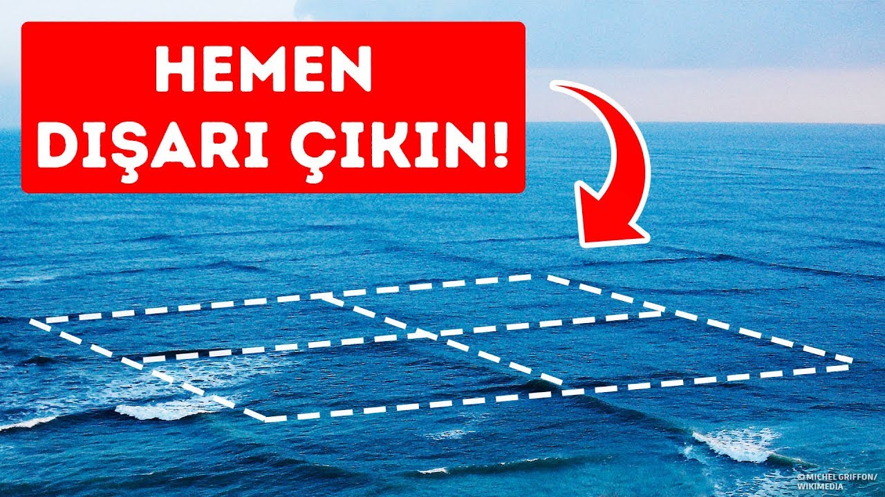 Kare Dalgalarda Yüzerseniz, Hayatınız Tehlikede Demektir!
