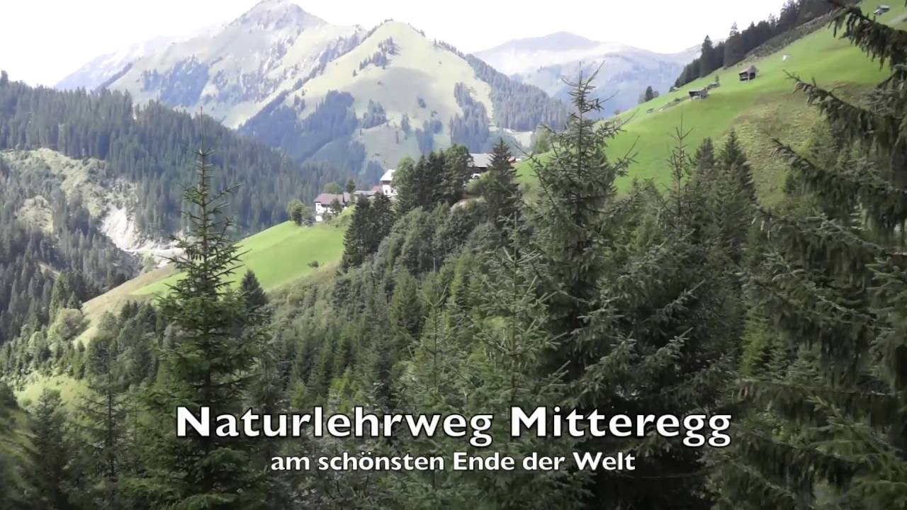 Naturlehrweg Mitteregg 2016