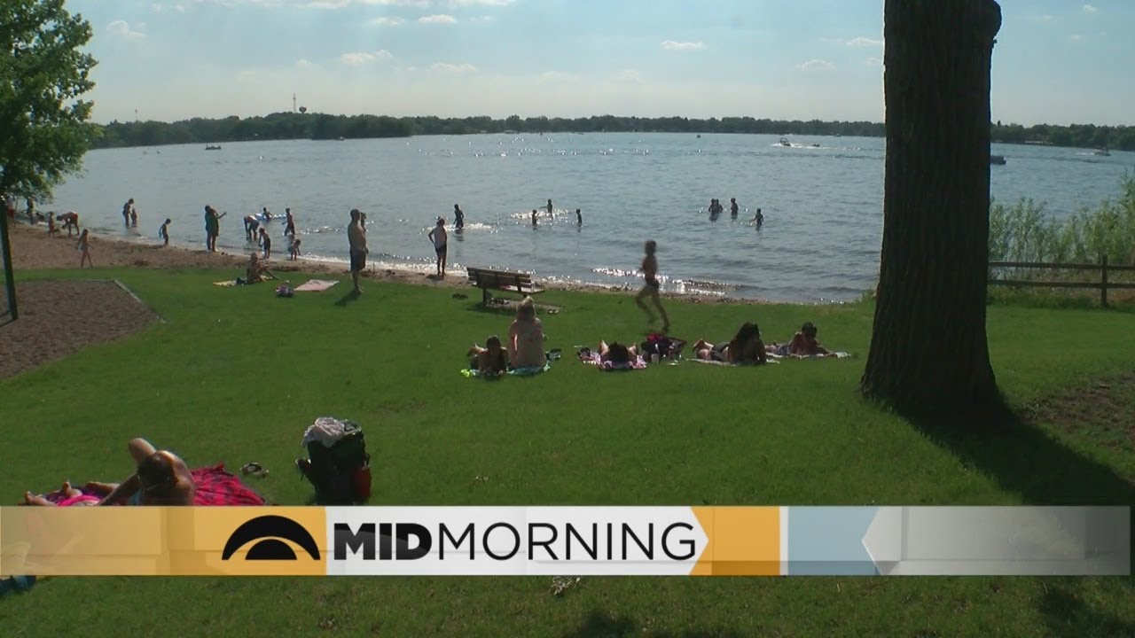 How Did Minnesota Come To Have One Of The Worst Racial Disparities?
