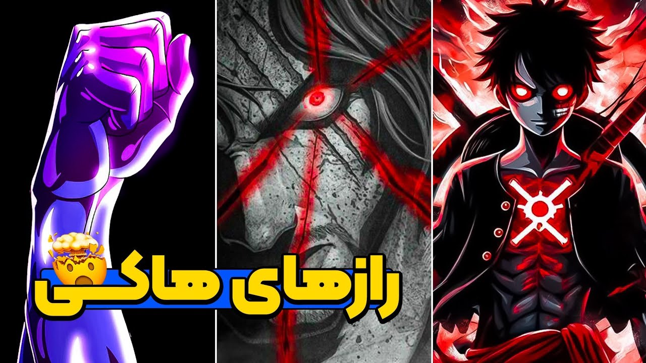 شناخت کامل با هاکی و انواع اون در انیمه وانپیس