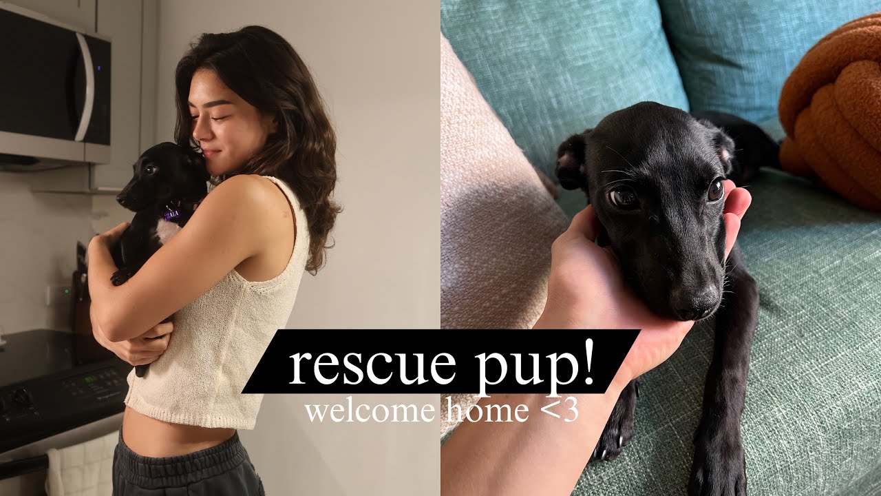 This stray puppy followed me on a hike (so I adopted her)