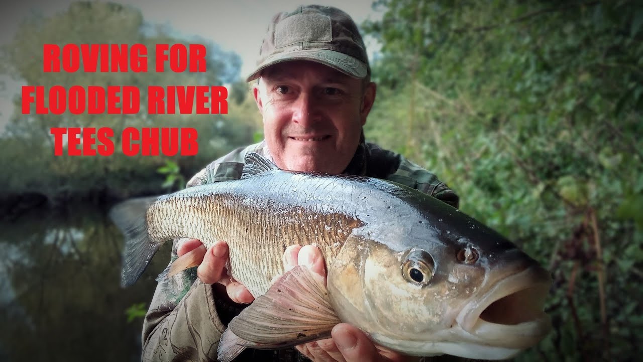 ROVING FOR FLOODED RIVER TEES CHUB 23 09 2023