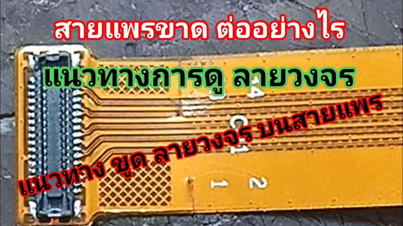 ดูลายวงจร จากสายแพร แนวทางการต่อลายวงจร แนวทางการดูลายวงจร หมีทำได้ ซ่อมมือถือ