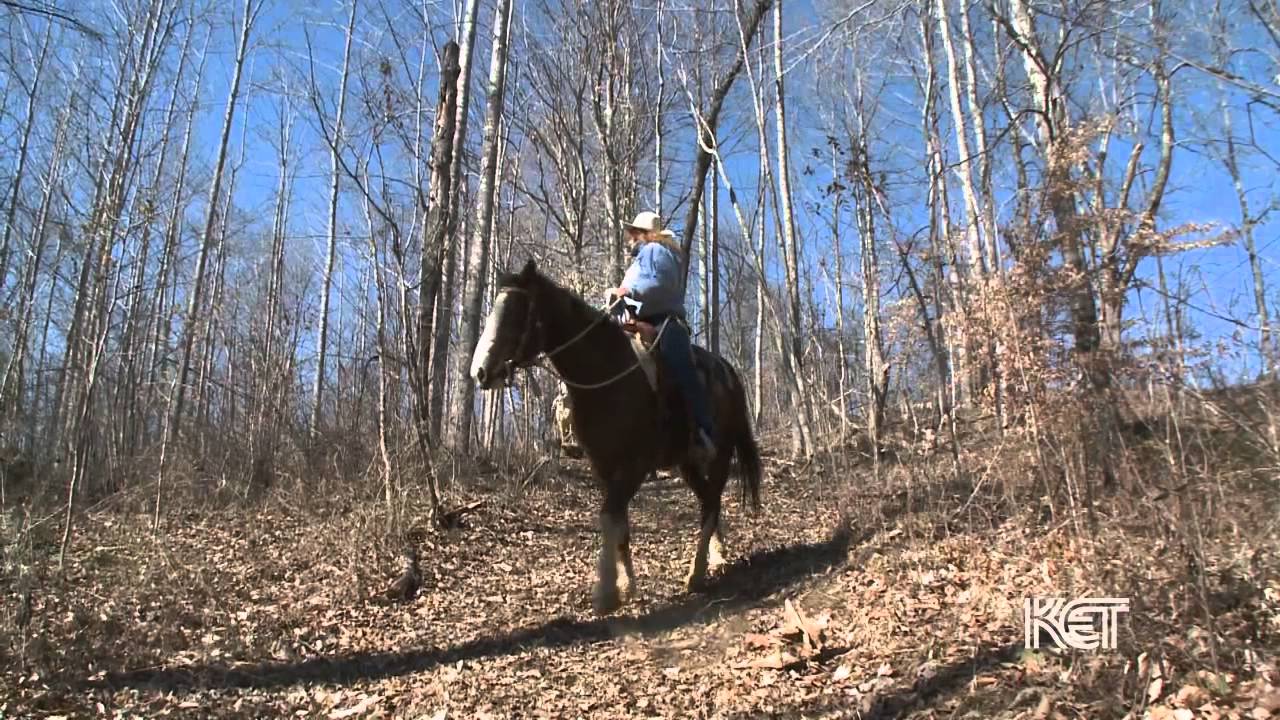 Hidden Cave Ranch B&B | Kentucky Life | KET