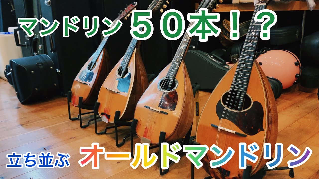 【楽器紹介】ヴィンテージマンドリンを特選