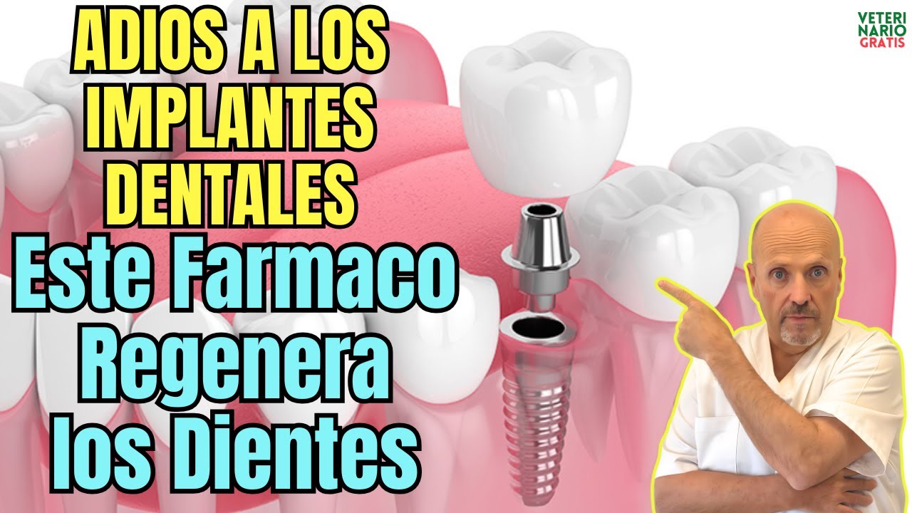 😱 ADIOS A LOS IMPLANTES DENTALES YA SE PRUEBA EN HUMANOS EL FARMACO QUE REGENERA LOS DIENTES 😱
