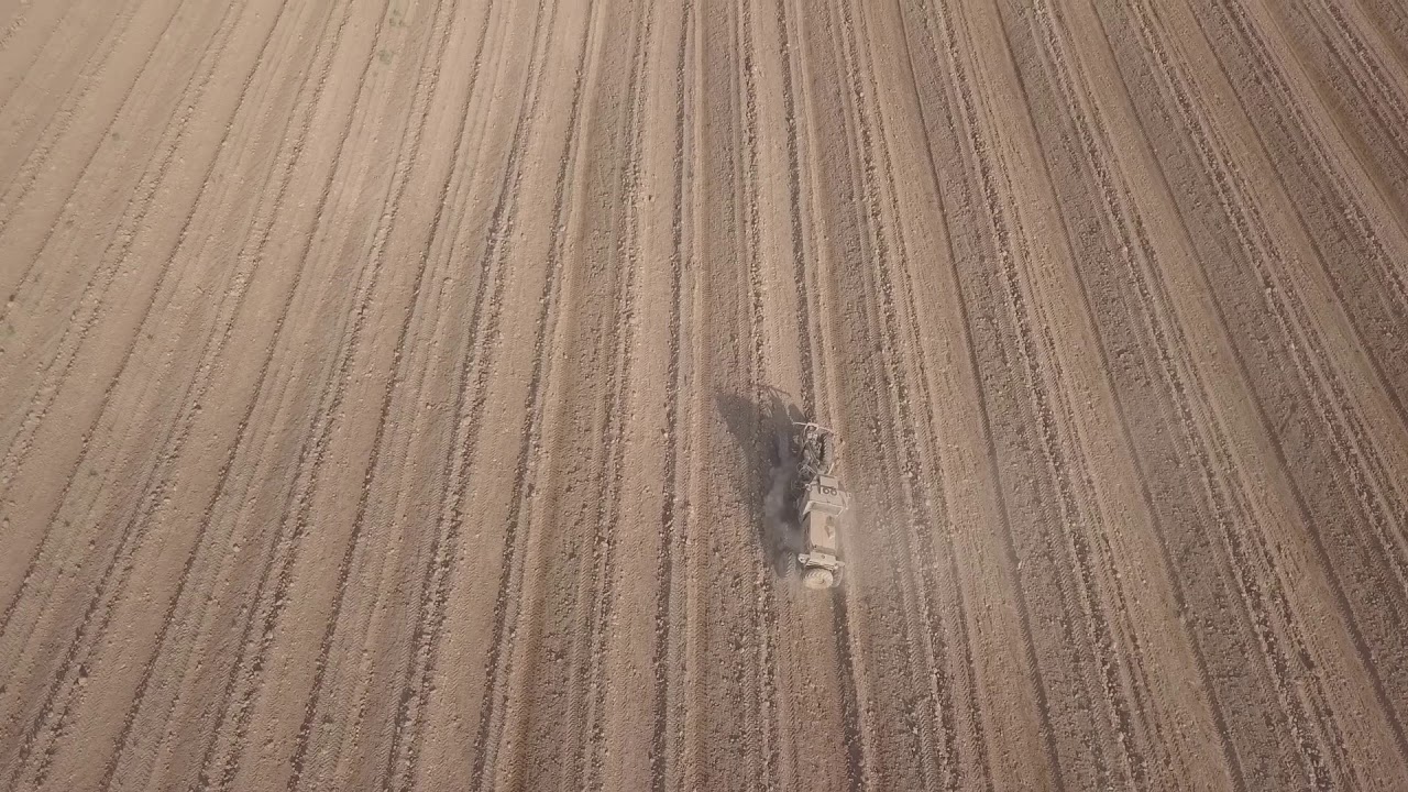 עיבוד שטח מטע אבוקדו. ספטמבר 2017