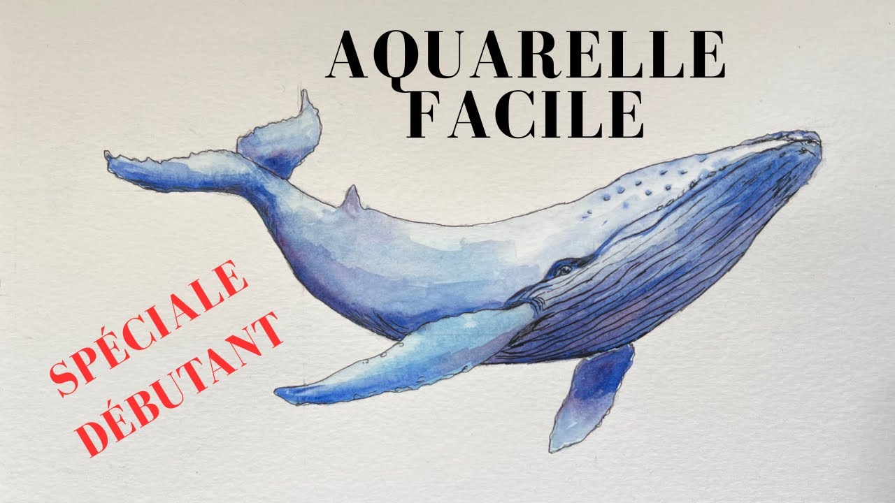 Réaliser une baleine à l'aquarelle / peinture facile pour débutant