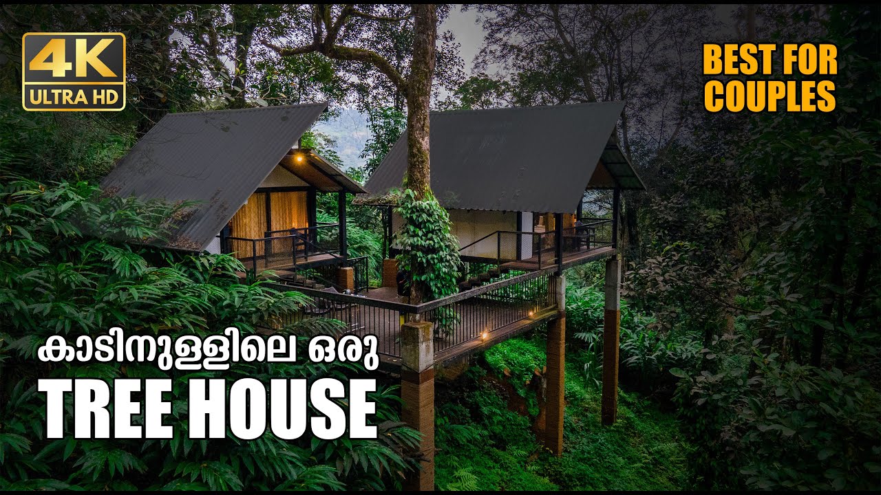Tree House | Munnar | 4K UHD | Bison Valley | Couples | Family | Bachelors | Vlog #20