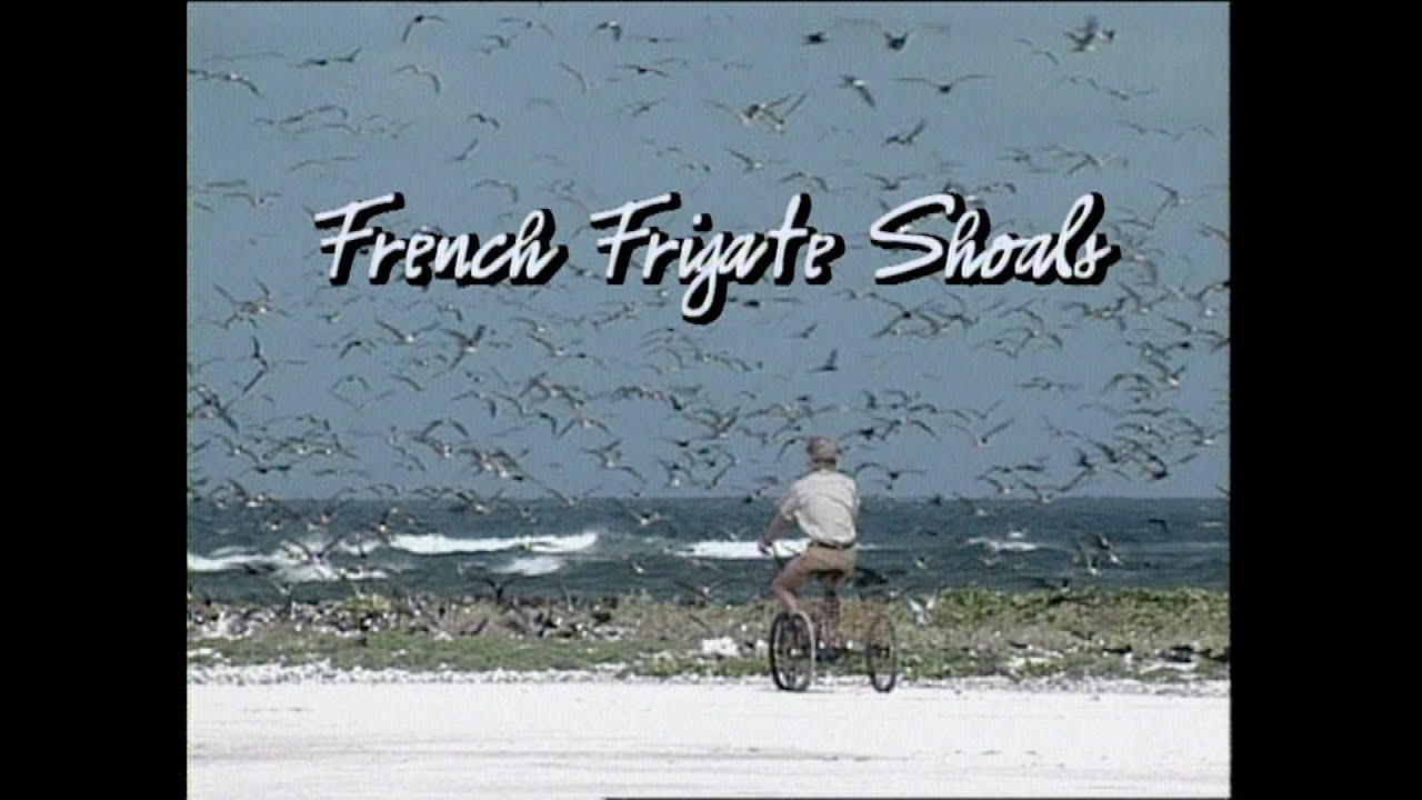 Pacific Adventures: French Frigate Shoals