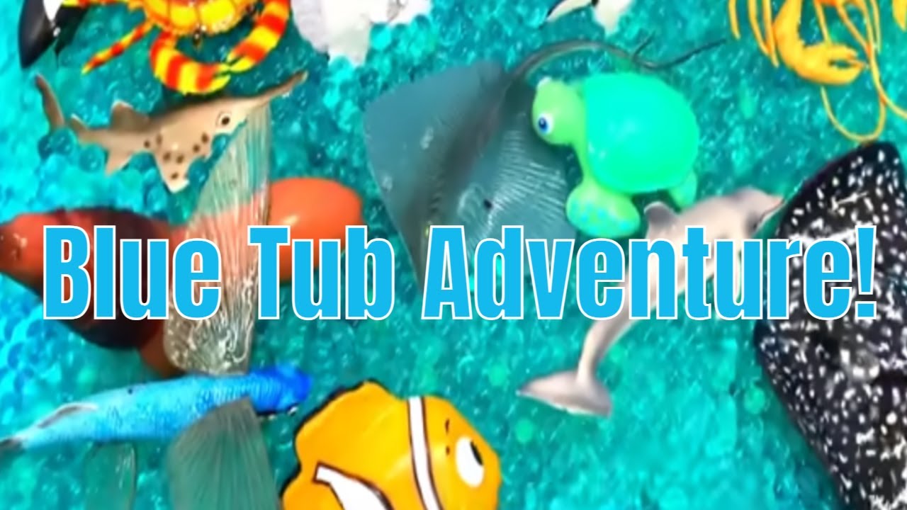 Blue Tub Ocean Facts & Cleaning!