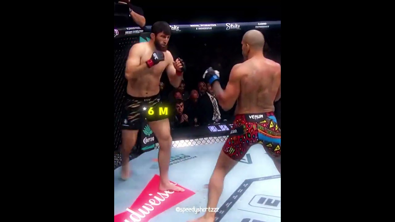 Pereira is still The King 🥶 #shorts #ufc #pereira #trending