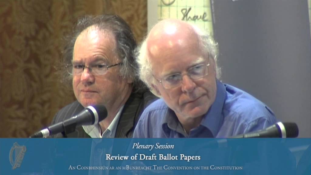 Plenary Session - Convention on the Constitution (19/05/13)