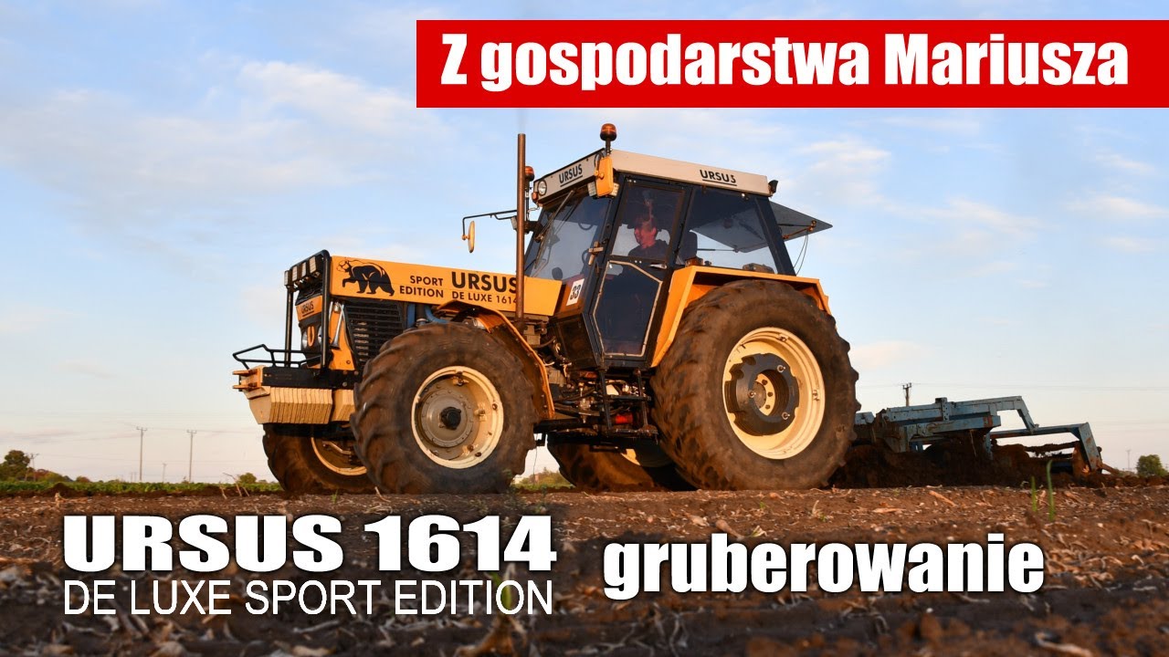 Ursus 1614 DeLuxe Sport Edition - gruberowanie w gospodarstwie Mariusza