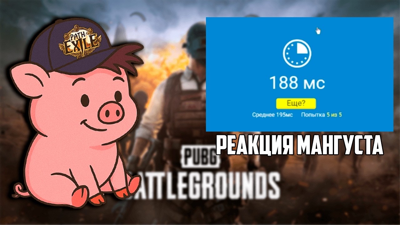 Тестируем реакцию, а потом летим PUBG | madarapoe