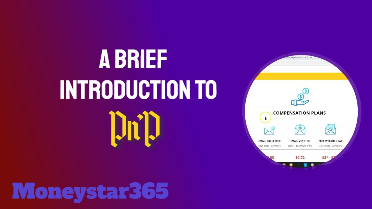 A Brief Introduction To Pick And Profit (2021)