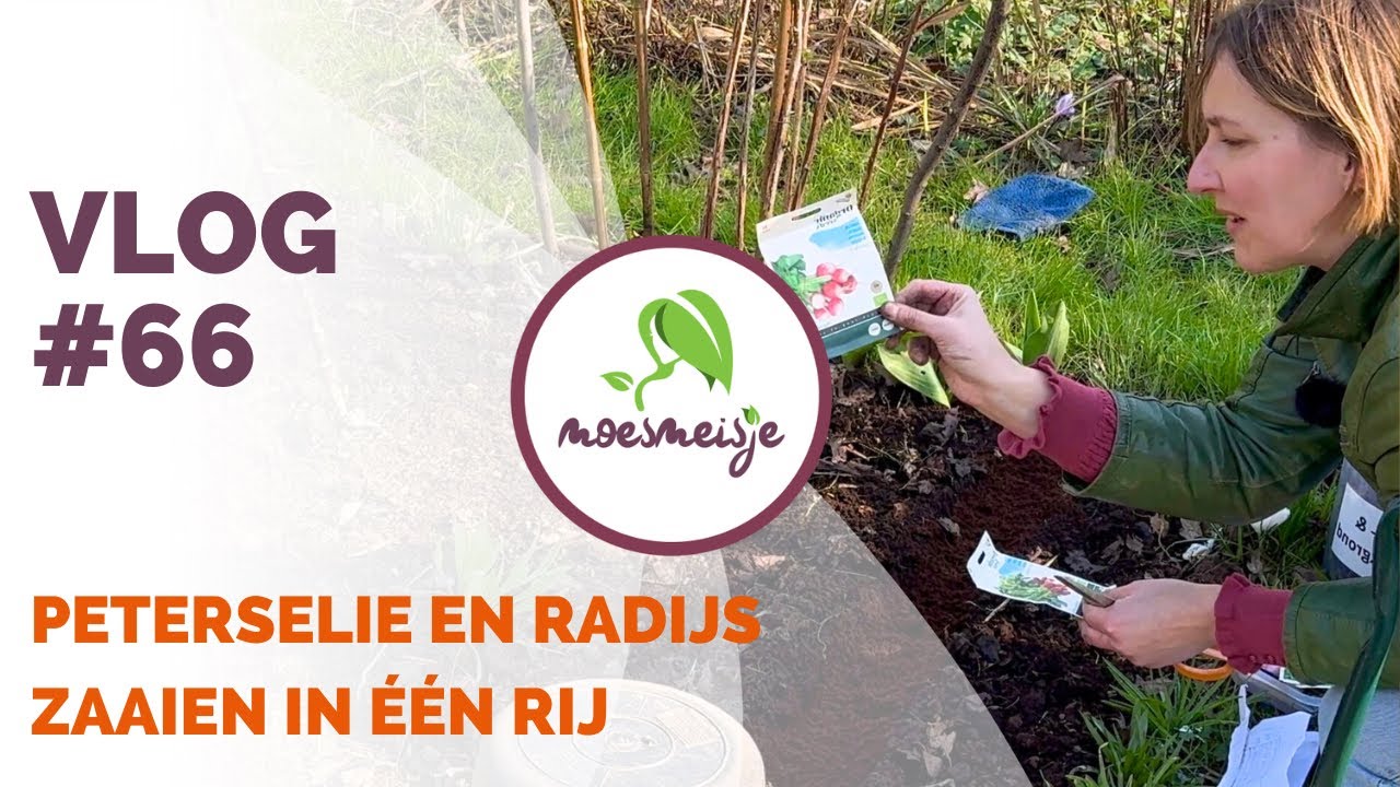 MOESTUIN VLOG #66 | Peterselie en Radijs zaaien, sugarsnaps en peulen planten en nieuwe compostbak!