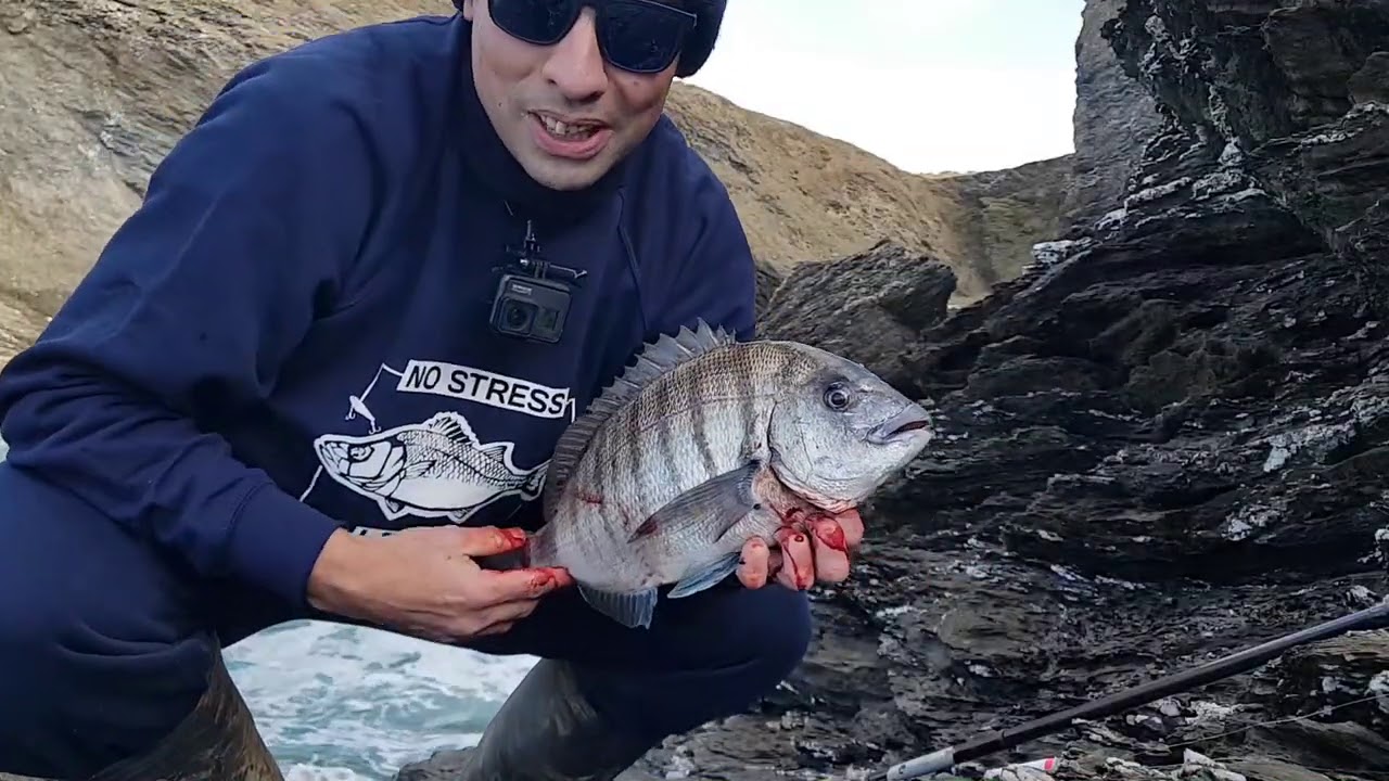comment pêcher facilement des poissons en mer du bord