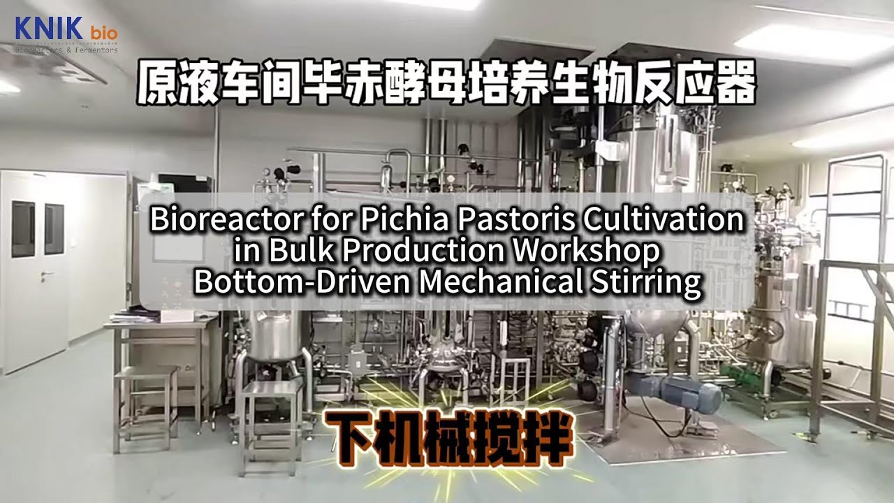 Bioreactor for Pichia Pastoris Cultivation in Bulk Production &ndash; Bottom-Driven Mechanical Stirring