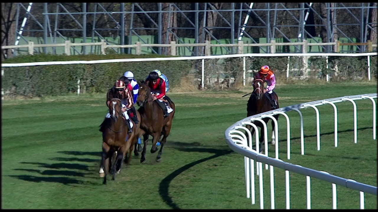 6ª Carrera del 3 de diciembre en el Hipódromo de la Zarzuela