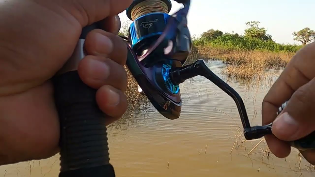 Unbelievable This Big Fish Catching Food Like Shark| Fishing Big On The Cambodia Big Lake.