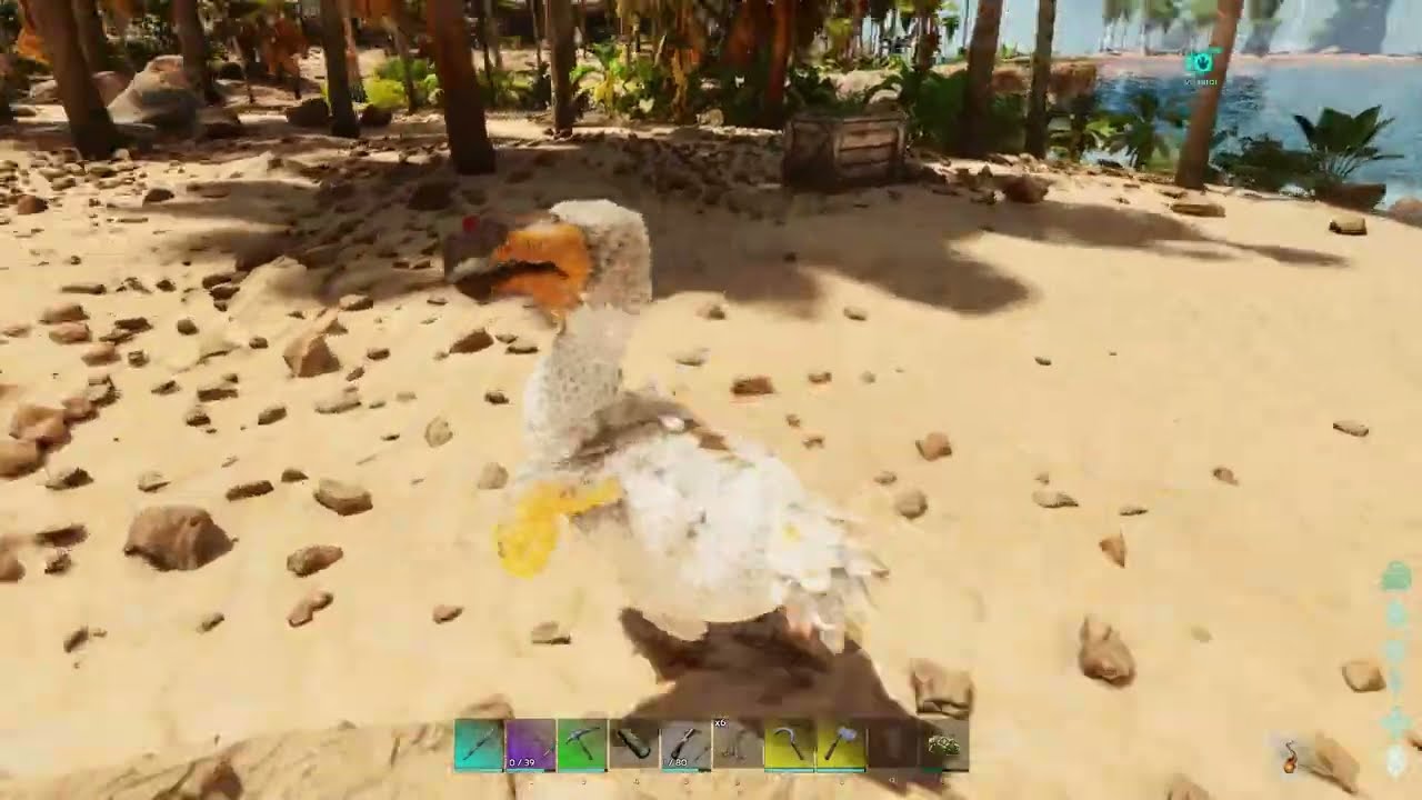 ARK ASCENDED How To Tame A Dodo